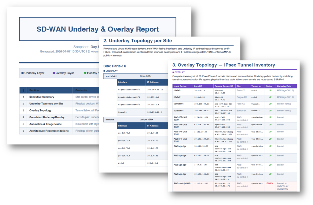 SD-WAN underlay and overlay report using IP Fabric's MCP server for enterprise AIOps
